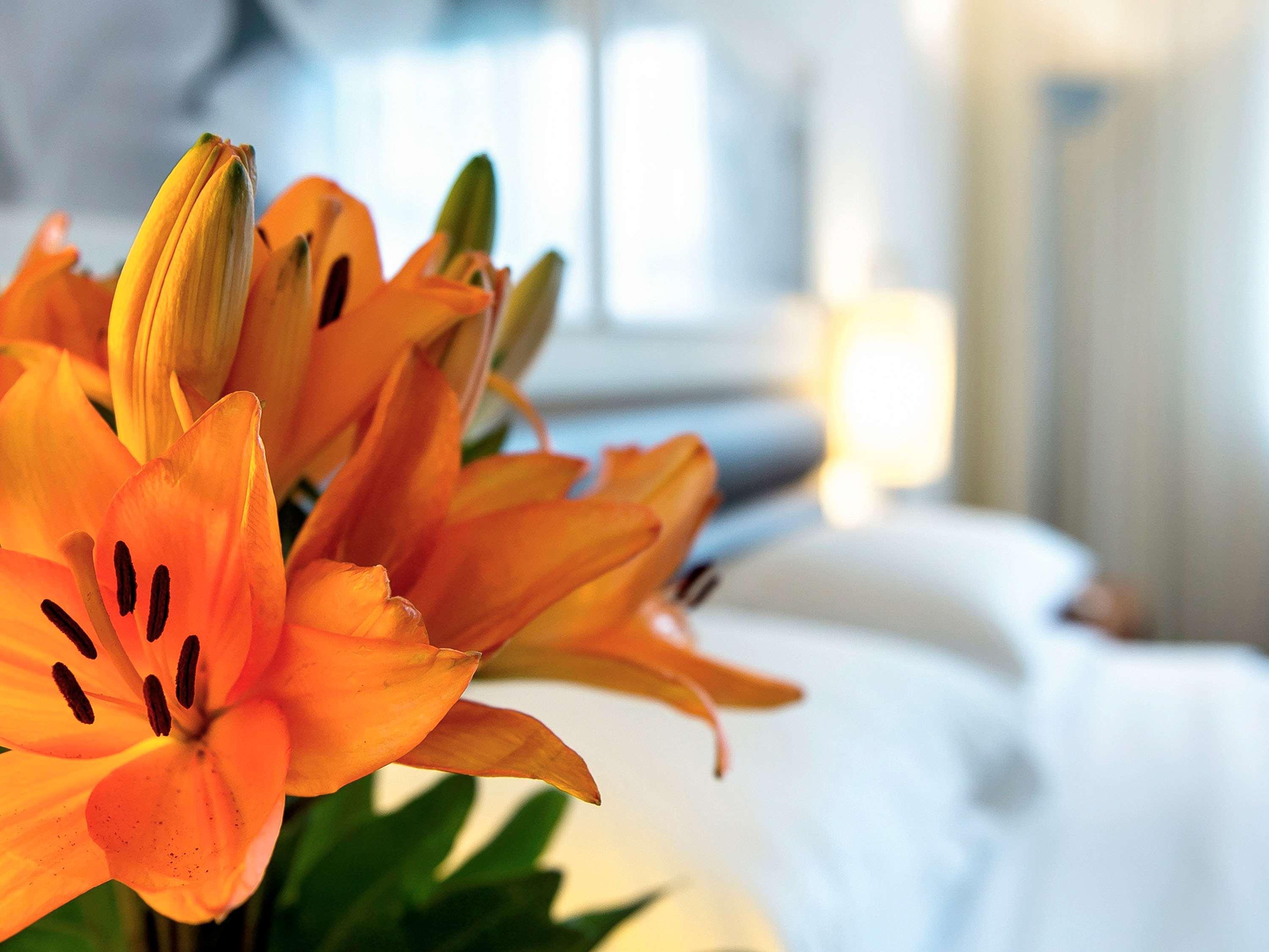 Grand Mercure Olímpia Hotel 5*